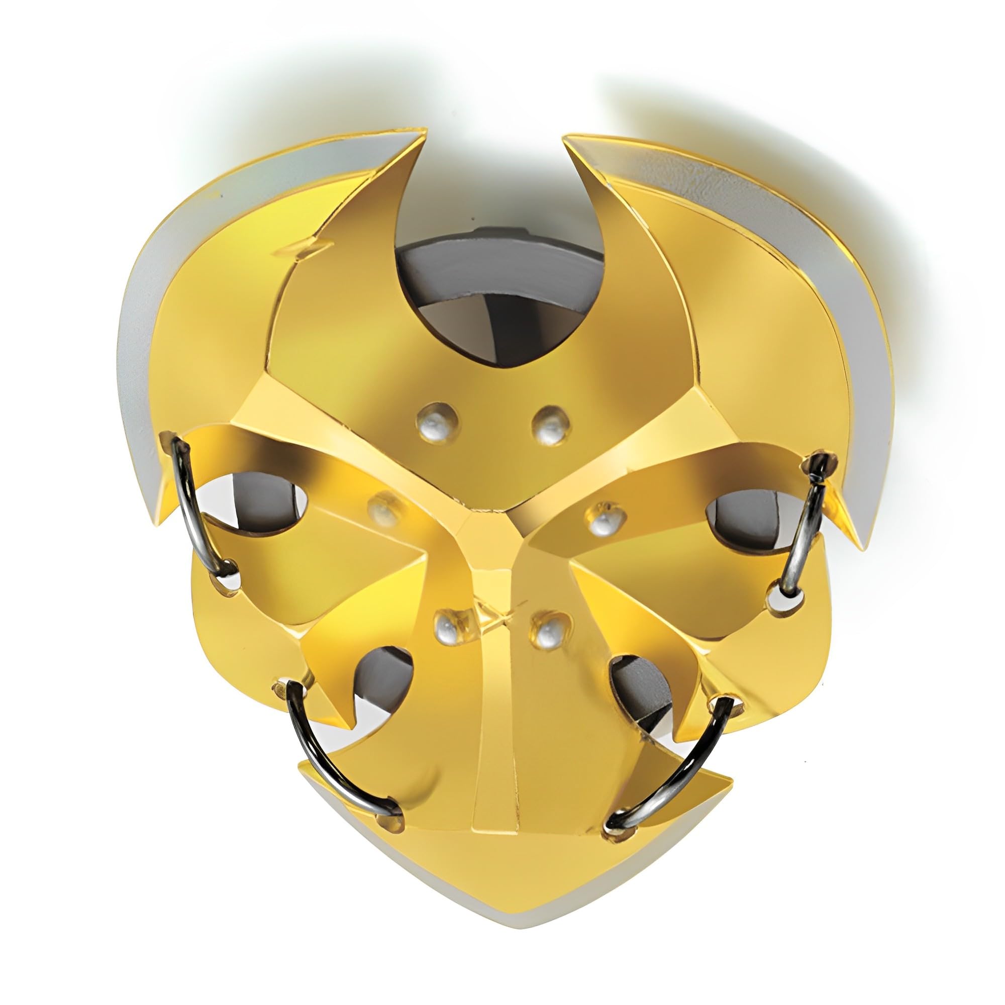 Amazon.com: ARAZI Savage Lynel Shield Model,Clear Details, Full